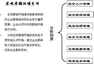 最新市場(chǎng)營(yíng)銷案例解析，創(chuàng)新策略與成功之路探索