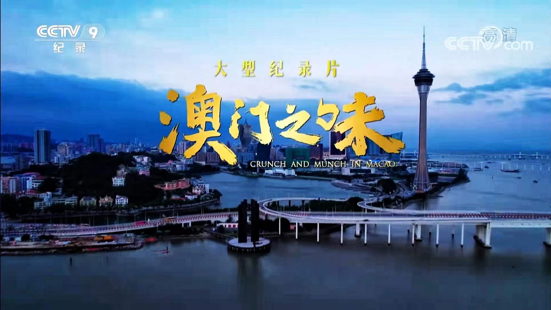 澳門在線視頻，探索與沉浸體驗(yàn)