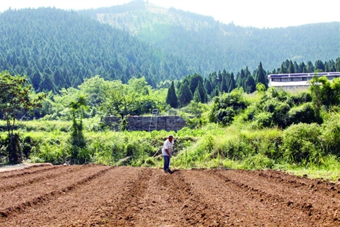 農(nóng)村荒山承包新政策，推動綠色發(fā)展的強大動力源泉