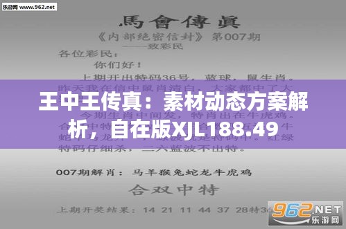 7777788888王中王厷機,全局性策略實施協(xié)調_尊享版65.994