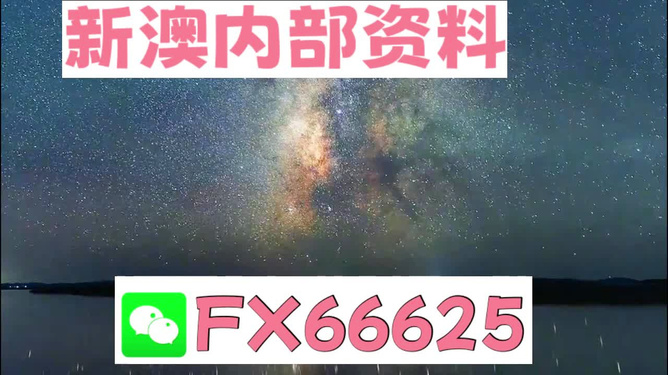 2024新澳天天免費(fèi)資料,動(dòng)態(tài)詞語(yǔ)解釋落實(shí)_Phablet16.953